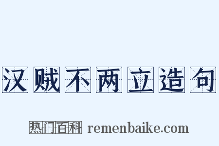 汉贼不两立造句是什么意思的图片